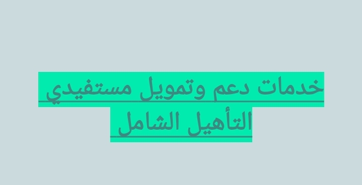 خدمة تمويل المعاقيين